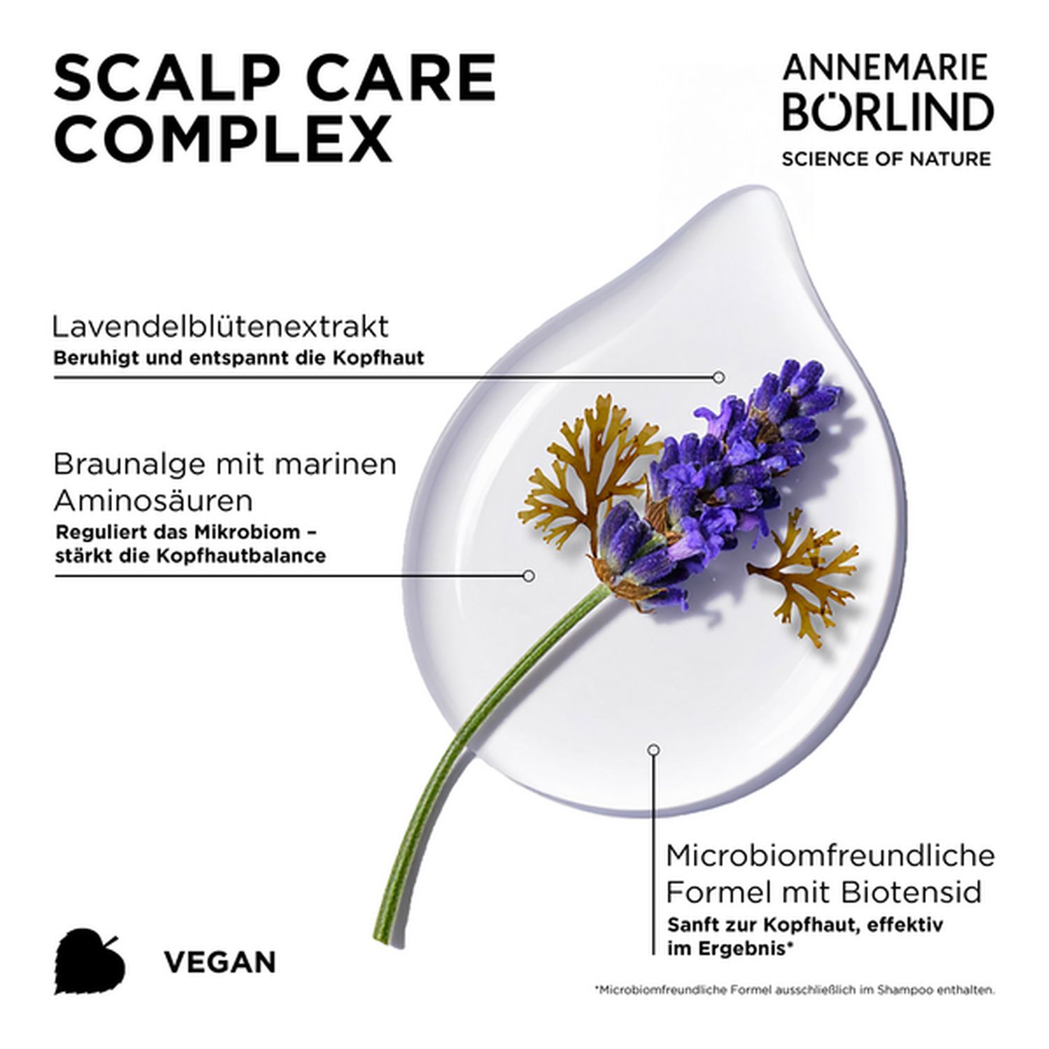 Hair Care BALANCE SHAMPOO (Anti-Schuppen)