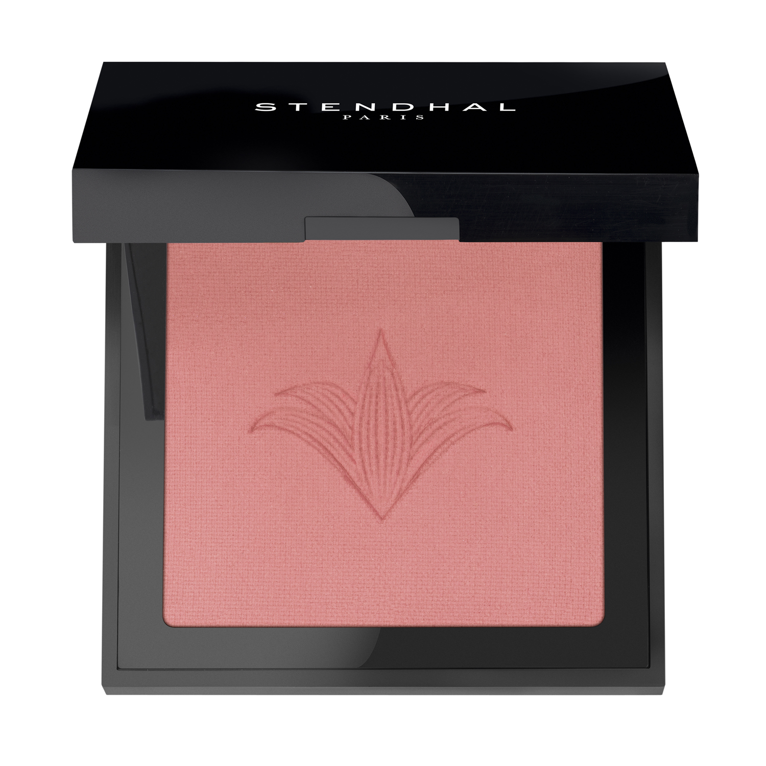 Blush Illuminateur