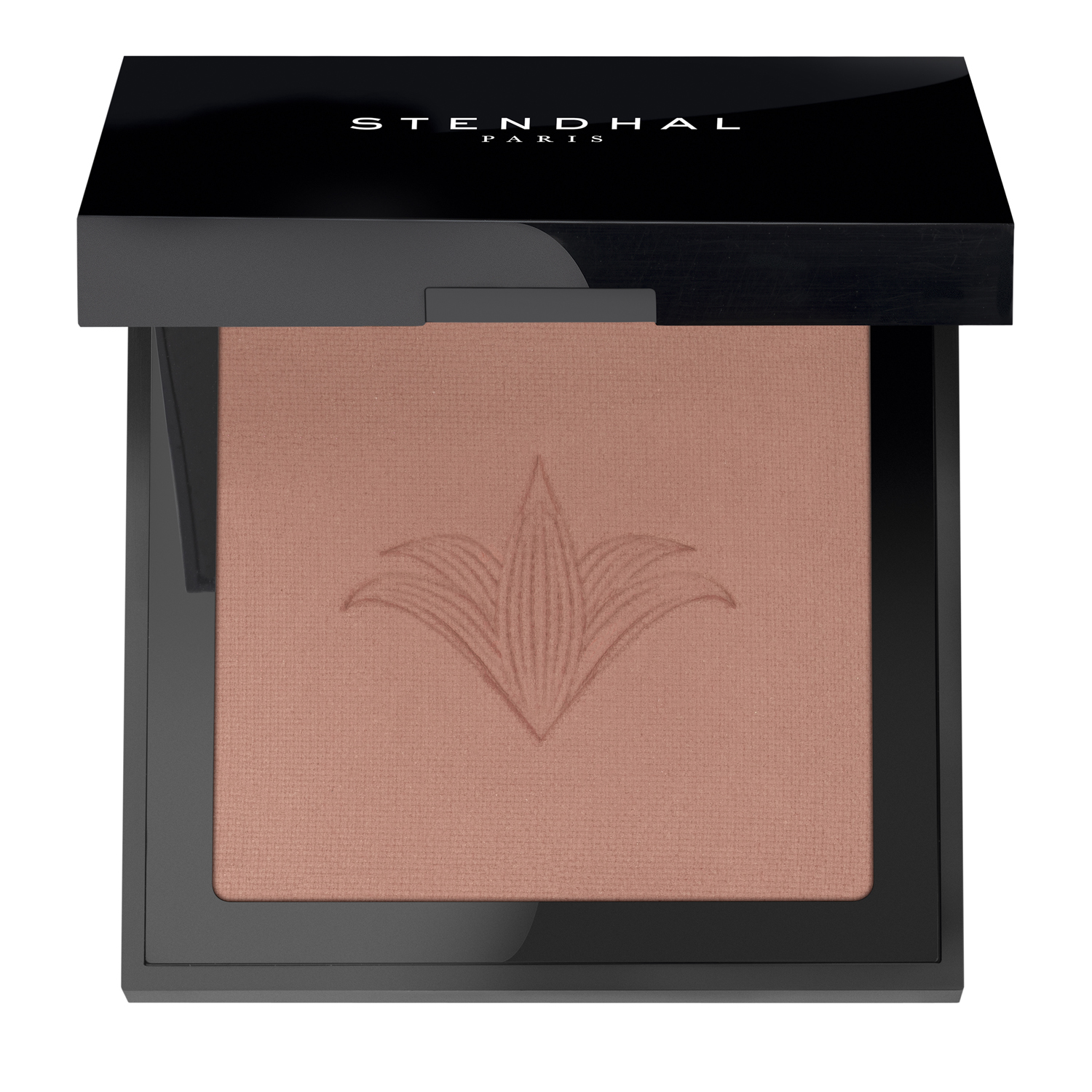 Blush Illuminateur
